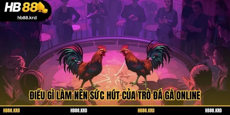 Điều gì làm nên sức hút của trò đá gà online