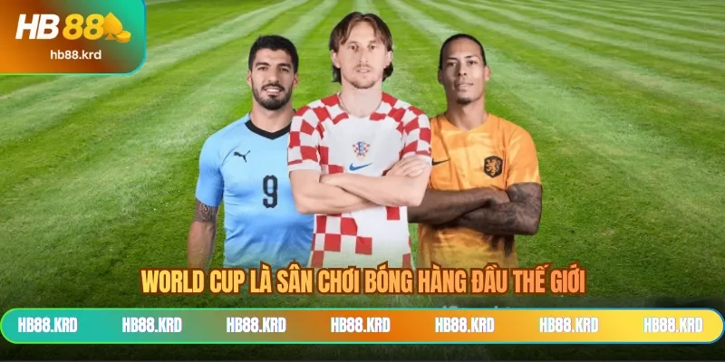 World Cup là sân chơi bóng hàng đầu thế giới