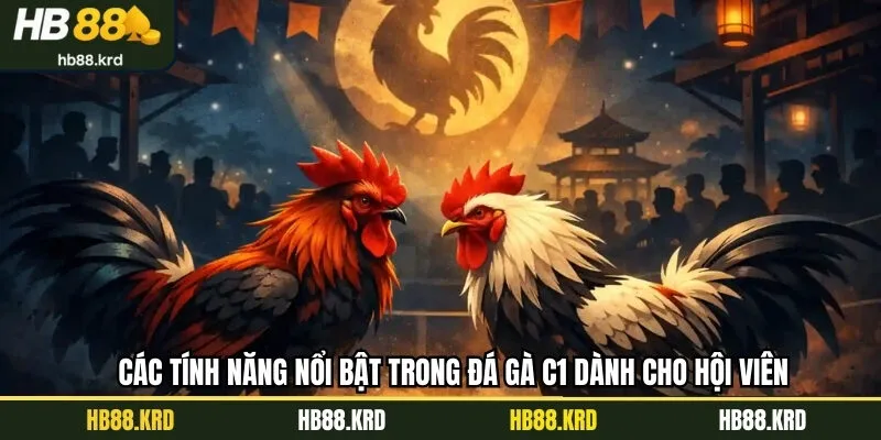 Các tính năng nổi bật trong đá gà C1 dành cho hội viên